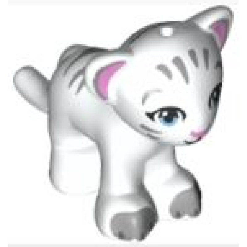 Tijger, Grote Kat, Baby Welp White